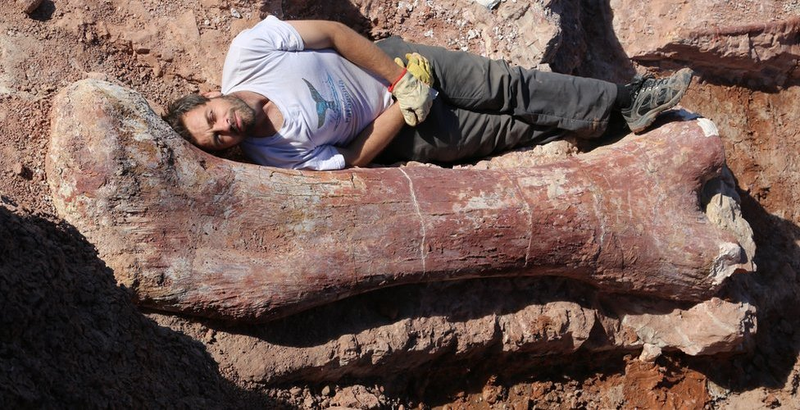 Illustration for article titled Paleontologists lying near giant dinosaur bones